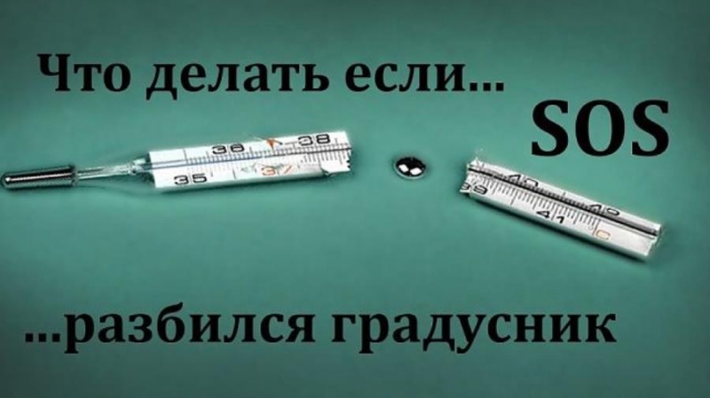 Служба ртути, Разбился градусник, Замер паров ртути в Москве и области