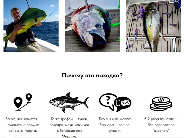 Захотели выловить трофейного тунца