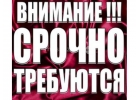 Администратор - управляющий